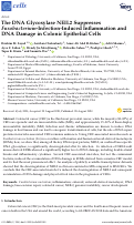 Cover page: The DNA Glycosylase NEIL2 Suppresses Fusobacterium-Infection-Induced Inflammation and DNA Damage in Colonic Epithelial Cells