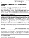 Cover page: Disruption of both nesprin 1 and desmin results in nuclear anchorage defects and fibrosis in skeletal muscle