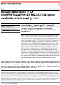 Cover page: Dosage differences in 12-OXOPHYTODIENOATE REDUCTASE genes modulate wheat root growth.