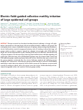 Cover page: Electric field–guided collective motility initiation of large epidermal cell groups