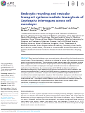 Cover page: Endocytic recycling and vesicular transport systems mediate transcytosis of Leptospira interrogans across cell monolayer