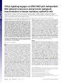 Cover page: TDF-ß signaling engages an ATM-CHK2-p53-independent RAS-induced senescence and prevents malignant transformation in human mammary epithelial cells