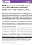 Cover page: A bacterial pioneer produces cellulase complexes that persist through community succession