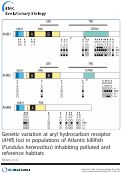 Cover page: Genetic variation at aryl hydrocarbon receptor (AHR) loci in populations of Atlantic killifish (Fundulus heteroclitus) inhabiting polluted and reference habitats