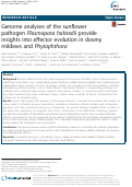 Cover page: Genome analyses of the sunflower pathogen Plasmopara halstedii provide insights into effector evolution in downy mildews and Phytophthora