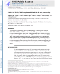 Cover page: CDK11 in TREX/THOC Regulates HIV mRNA 3′ End Processing