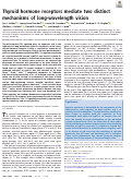 Cover page: Thyroid hormone receptors mediate two distinct mechanisms of long-wavelength vision.