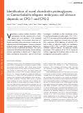 Cover page: Identification of novel chondroitin proteoglycans in Caenorhabditis elegans: embryonic cell division depends on CPG-1 and CPG-2