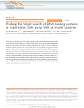 Cover page: Probing the target search of DNA-binding proteins in mammalian cells using TetR as model searcher