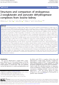 Cover page: Structures and comparison of endogenous 2-oxoglutarate and pyruvate dehydrogenase complexes from bovine kidney