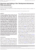 Cover page: Structure and folding of the Tetrahymena telomerase RNA pseudoknot