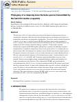 Cover page: Phylogeny of a relapsing fever Borrelia species transmitted by the hard tick Ixodes scapularis