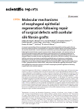 Cover page: Molecular mechanisms of esophageal epithelial regeneration following repair of surgical defects with acellular silk fibroin grafts