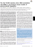 Cover page: The Clp1 R140H mutation alters tRNA metabolism and mRNA 3′ processing in mouse models of pontocerebellar hypoplasia