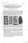 Cover page: Small Fruit and Stunting, Two New Disorders of Grapefruit Trees in the Delta del Paraná and San Pedro Areas of Argentina