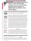 Cover page: Injury of the gluteal aponeurotic fascia and proximal iliotibial band: anatomy, pathologic conditions, and MR imaging.