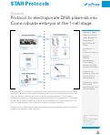 Cover page: Protocol to electroporate DNA plasmids into Ciona robusta embryos at the 1-cell stage