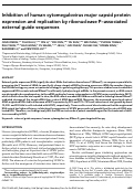 Cover page: Inhibition of human cytomegalovirus major capsid protein expression and replication by ribonuclease P-associated external guide sequences