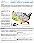 Cover page: Race/Ethnicity, Gender and Socioeconomic Wellbeing of Individuals in Same-sex Couples