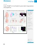 Cover page: Loss of Fgf9 in mice leads to pancreatic hypoplasia and asplenia