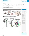 Cover page: Synaptic cell-adhesion molecule latrophilin-2 is differentially directed to dendritic domains of hippocampal neurons.