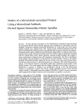 Cover page: Studies of a microtubule-associated protein using a monoclonal antibody elicited against mammalian mitotic spindles.