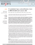 Cover page: A nucleolytic lupus autoantibody is toxic to BRCA2-deficient cancer cells