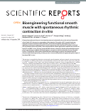 Cover page: Bioengineering functional smooth muscle with spontaneous rhythmic contraction in vitro