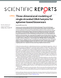 Cover page: Three-dimensional modeling of single stranded DNA hairpins for aptamer-based biosensors