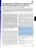 Cover page: N6-methyladenosine modification of hepatitis B virus RNA differentially regulates the viral life cycle