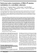 Cover page: Semiconservative transmission of DNA N 6-adenine methylation in a unicellular eukaryote.