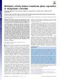 Cover page: Metabolic activity induces membrane phase separation in endoplasmic reticulum