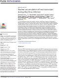 Cover page: Nuclear accumulation of host transcripts during Zika Virus Infection.