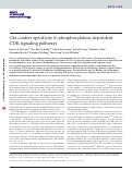 Cover page: Cks confers specificity to phosphorylation-dependent CDK signaling pathways