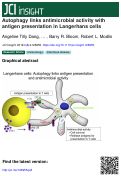 Cover page: Autophagy links antimicrobial activity with antigen presentation in Langerhans cells