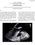 Cover page: Gemella Endocarditis