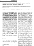 Cover page: Biologic effects of heregulin/ neu differentiation factor on normal and malignant human breast and ovarian epithelial cells