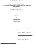 Cover page: Black Holes and Bubbles: A Phenomenological, Formal, and Numerical Exploration