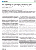 Cover page: Gβγ signaling to the chemotactic effector P-REX1 and mammalian cell migration is directly regulated by Gαq and Gα13 proteins.