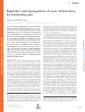 Cover page: Regulation and dysregulation of axon infrastructure by myelinating glia.