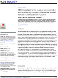 Cover page: GBPL3 localizes to the nuclear pore complex and functionally connects the nuclear basket with the nucleoskeleton in plants