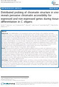 Cover page: Distributed probing of chromatin structure in vivo reveals pervasive chromatin accessibility for expressed and non-expressed genes during tissue differentiation in C. elegans