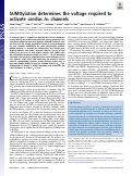 Cover page: SUMOylation determines the voltage required to activate cardiac IKs channels.