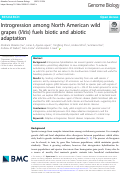 Cover page: Introgression among North American wild grapes (Vitis) fuels biotic and abiotic adaptation.