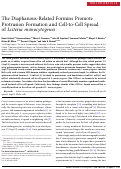 Cover page: The Diaphanous-Related Formins Promote Protrusion Formation and Cell-to-Cell Spread of Listeria monocytogenes