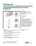 Cover page: A Functional Switch of NuRD Chromatin Remodeling Complex Subunits Regulates Mouse Cortical Development