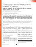 Cover page: Laser microsurgery reveals conserved viscoelastic behavior of the kinetochore