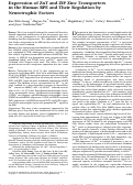 Cover page: Expression of ZnT and ZIP Zinc Transporters in the Human RPE and Their Regulation by Neurotrophic Factors