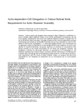 Cover page: Actin-dependent cell elongation in teleost retinal rods: requirement for actin filament assembly.