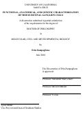 Cover page: Functional, Anatomical, and Genetic Characterization of Mouse Retinal Ganglion Cells